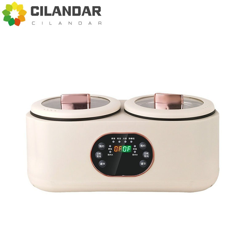 Soup Kettle Warmer - Doppel-Gallbladder Elektrischer Reiskocher Multifunktionaler Vollautomatischer Intelligenter